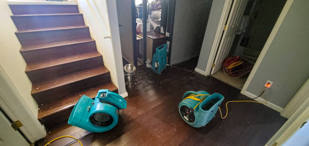 Best Emergency water damage restoration  in Kimball, NE