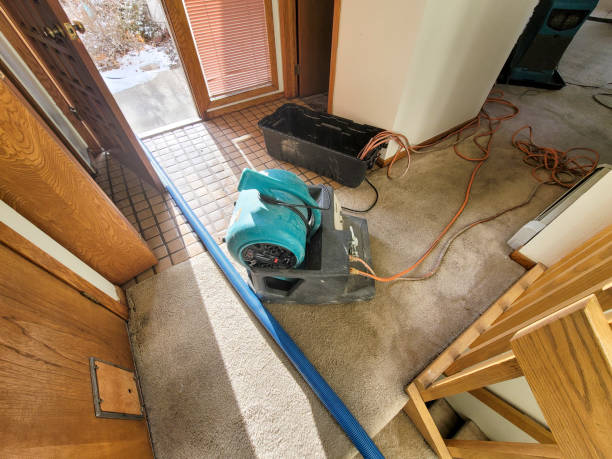 Best Basement water damage restoration  in Kimball, NE