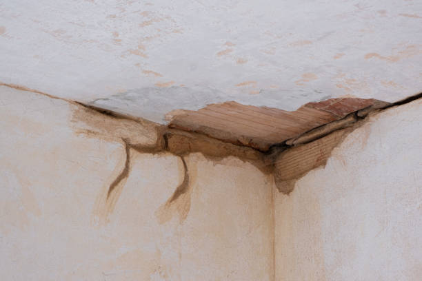 Best Flood restoration services  in Kimball, NE