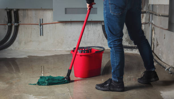 Best 24/7 water damage repair  in Kimball, NE
