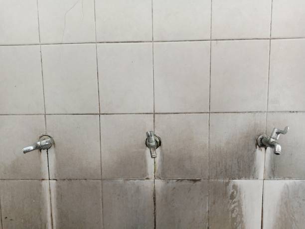 Best Water damage restoration near me  in Kimball, NE