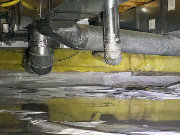 Best Water damage restoration mold remediation  in Kimball, NE