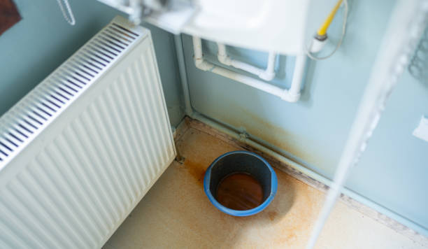 Water damage restoration mold remediation in NE