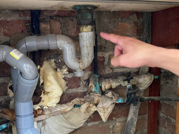 Professional Water damage restoration in NE