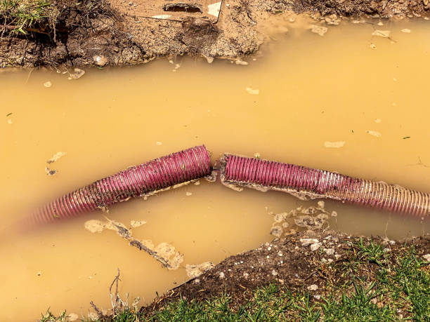Best Mold removal after water damage  in Kimball, NE