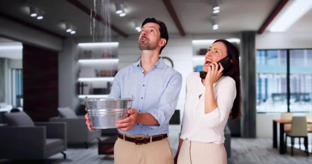 Best Water damage restoration near me  in Kimball, NE