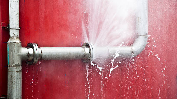 Best Carpet water damage restoration  in Kimball, NE